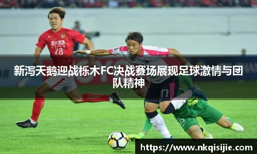 新泻天鹅迎战栎木FC决战赛场展现足球激情与团队精神
